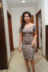 Samantha at Attarintiki Daredi 25 days